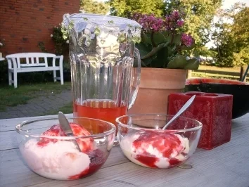 Mirabellen Sosse-Saft(für Eis oder Saftherstellung) - Rezept