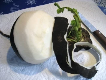 Salat vom schwarzen Rettich ... - Rezept