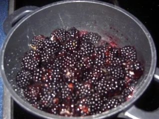 Brombeer-Joghurt-Dessert - Rezept - Bild Nr. 4