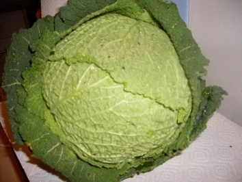 Kohlgemüse - Schinken - Pasta - Rezept - Bild Nr. 2