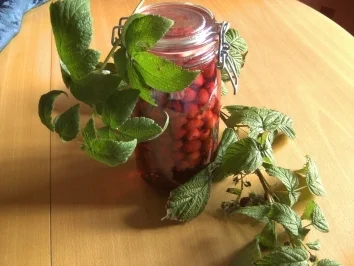 Rezept: Getränke: Himbeerlikör Getränke: Himbeerlikör - Rezept