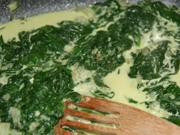 Fisch: Edelfisch auf Blattspinat mit Rote-Bete-Schaum - Rezept - Bild Nr. 5