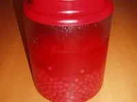 Beschwipste Johannisbeeren - Rezept