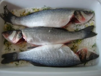 Rezept: WOLFSBARSCH UNTER SALZKRUSTE Bild Nr. 4 WOLFSBARSCH UNTER SALZKRUSTE - Rezept - Bild Nr. 4