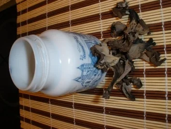 Rezept: Sonstiges - Pilzpulver Bild Nr. 4 Sonstiges - Pilzpulver - Rezept - Bild Nr. 4