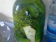 Salzgurken oder saure Gurken - Rezept - Bild Nr. 2