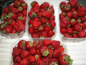 Rezept: Aroma für den Winter Bild Nr. 2 Aroma für den Winter - Rezept - Bild Nr. 2