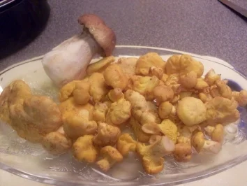 Pfifferlingssauce mit Semmelknödel - Rezept - Bild Nr. 2