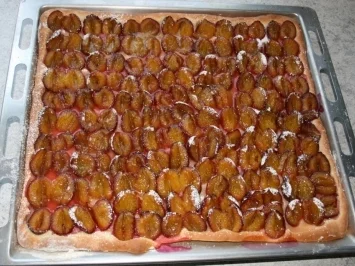 Zwetschgendatschi mit Quark - Öl - Teig - Rezept