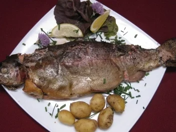 Forelle selbst geräuchert mit Kartoffeln und Dip - Rezept