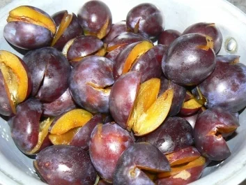 Rezept: Zwetschgenkuchen a la Oma Margit Bild Nr. 2 Zwetschgenkuchen a la Oma Margit - Rezept - Bild Nr. 2