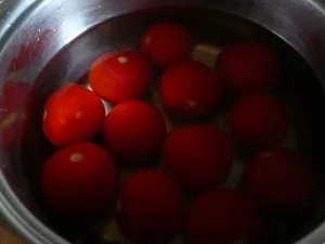 Rezept: Tomaten - Thunfisch Gratin Bild Nr. 5 Tomaten - Thunfisch Gratin - Rezept - Bild Nr. 5