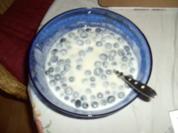 Heidelbeer-Joghurt - Rezept