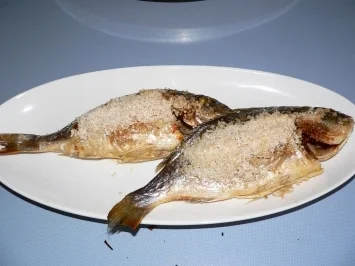 Dorade in Salzkruste mit Kräuter... - Rezept