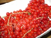 Vanille wird Rot - Rezept