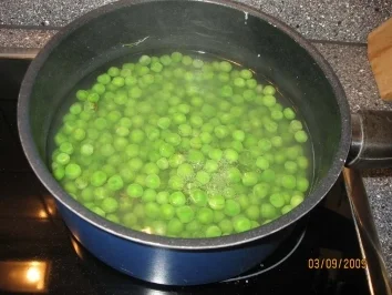 Rezept: Puten-Champignon-Ragout Bild Nr. 14 Puten-Champignon-Ragout - Rezept - Bild Nr. 14