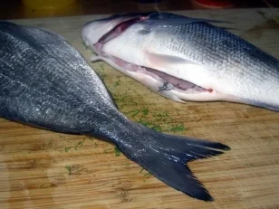 Doraden im Orangensud - Rezept - Bild Nr. 4