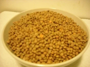 Linsenauflauf - Rezept - Bild Nr. 2