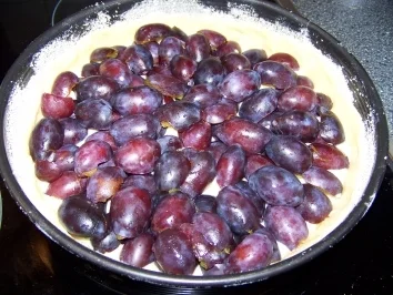 Rezept: Kuchen - Pflaumenkuchen Bild Nr. 4 Kuchen - Pflaumenkuchen - Rezept - Bild Nr. 4