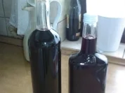 Holunderlikör - Rezept