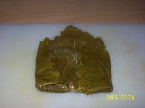 Yabrak - Rezept - Bild Nr. 6