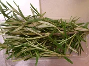 Rosmarin-Ofenkartoffeln - Rezept