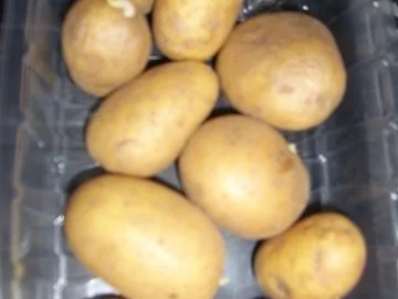 Rosmarin-Ofenkartoffeln - Rezept - Bild Nr. 2