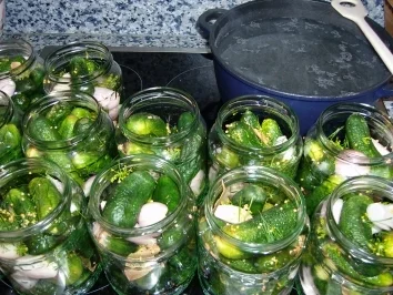 Rezept: Gewürzgurken Gewürzgurken - Rezept