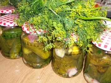 Rezept: Gewürzgurken Bild Nr. 2 Gewürzgurken - Rezept - Bild Nr. 2