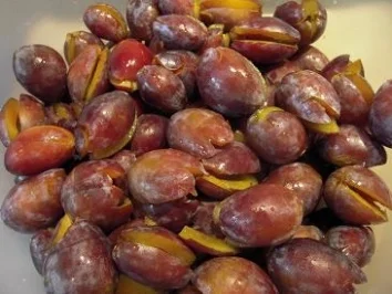 Rezept: Zwetschgenkuchen mit Hefe Bild Nr. 2 Zwetschgenkuchen mit Hefe - Rezept - Bild Nr. 2