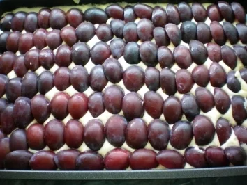 Schneller Pflaumenkuchen - Rezept - Bild Nr. 3