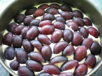 Rezept: Pflaumenkuchen mit Alkohol Bild Nr. 3 Pflaumenkuchen mit Alkohol - Rezept - Bild Nr. 3