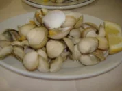 ( Galicien ) Almejas a la marinera - Rezept