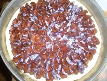 Kuchen: Indischer Zwetschgenkuchen - Rezept - Bild Nr. 6