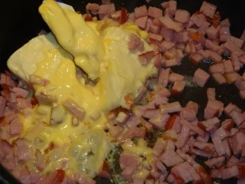 Rezept: Nudeln mit Käse-Schinken-Soße Bild Nr. 5 Nudeln mit Käse-Schinken-Soße - Rezept - Bild Nr. 5