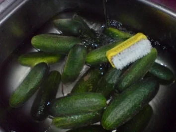 Salzgurken - Rezept - Bild Nr. 2