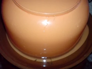 Salzgurken - Rezept - Bild Nr. 11