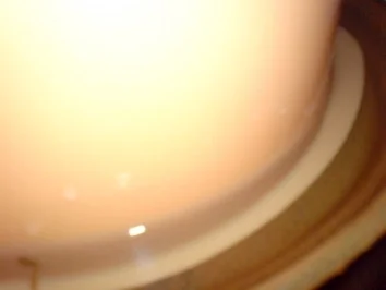 Salzgurken - Rezept - Bild Nr. 12