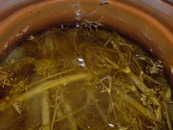 Salzgurken - Rezept - Bild Nr. 13