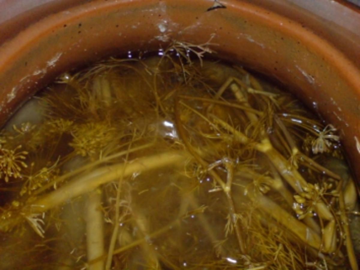 Salzgurken mit Einlegegurken - nicht zu klein und Dill - Rezept mit ...