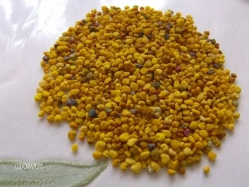 Obstsalat mit Blütenpollen und Haselnußkrokant - Rezept