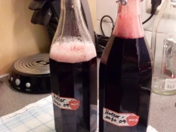 Rezept: Holundersaft Bild Nr. 4 Holundersaft - Rezept - Bild Nr. 4