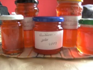 Alte Frucht ganz neu entdeckt: QUITTENGELEE - Rezept