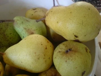 Rezept: Birnenkompott Bild Nr. 2 Birnenkompott - Rezept - Bild Nr. 2