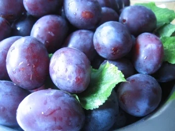 Pflaumenmus ..... - Rezept - Bild Nr. 2