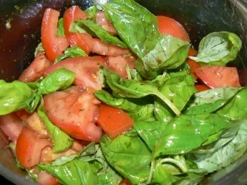 Basilikum-Tomatensalat - Rezept