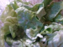 Grüner Salat mit Schmand Dressing - Rezept