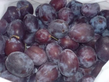 Pflaumenkuchen mit Geleeguß - Rezept - Bild Nr. 4