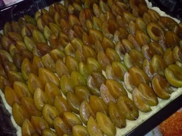 Pflaumenkuchen mit Geleeguß - Rezept - Bild Nr. 12