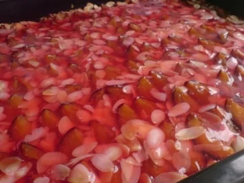 Pflaumenkuchen mit Geleeguß - Rezept - Bild Nr. 19